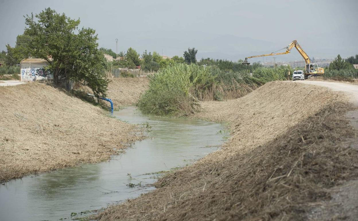 Molina insta a la CHS a limpiar el cauce del río ante posibles DANA